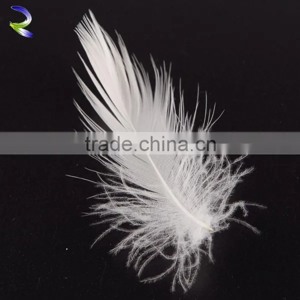 High Quality Cheap Raw Material Feather White Duck Feathers for Sale Supplier's Choice photo-3