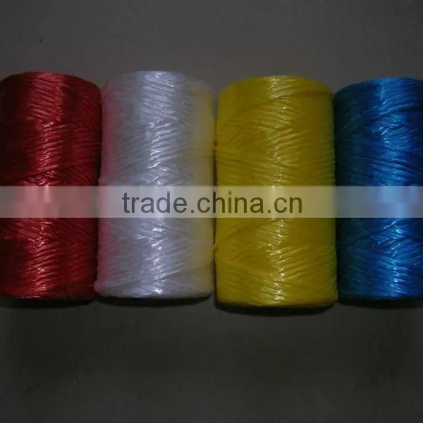 PP Film Twine photo-1