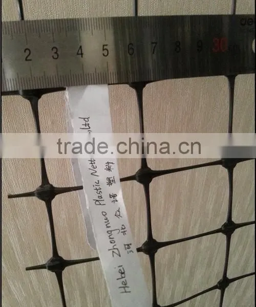 Factory Price Plastic Poultry Netting/Animal Fence photo-4