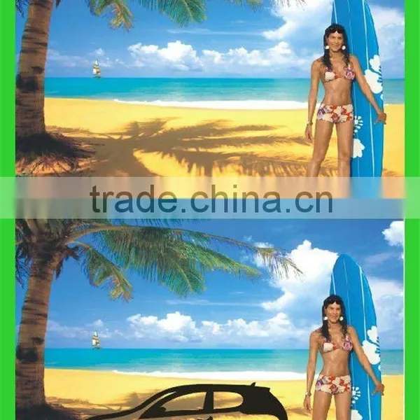 2012 Hot Selling Popular Clearly Sunglasses Polarized Test Card