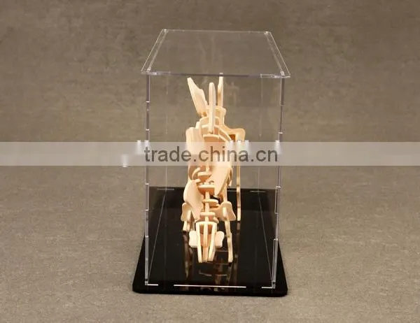 Custom Acrylic Display Toy Plastic Box photo-3