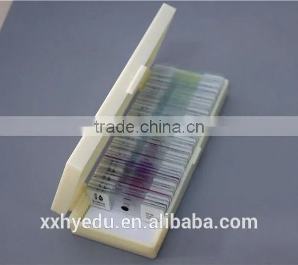 Lab Microscope Prepared Slides , Glass 52kinds Bacterial Prepared Slides,science Prepared Slides photo-6
