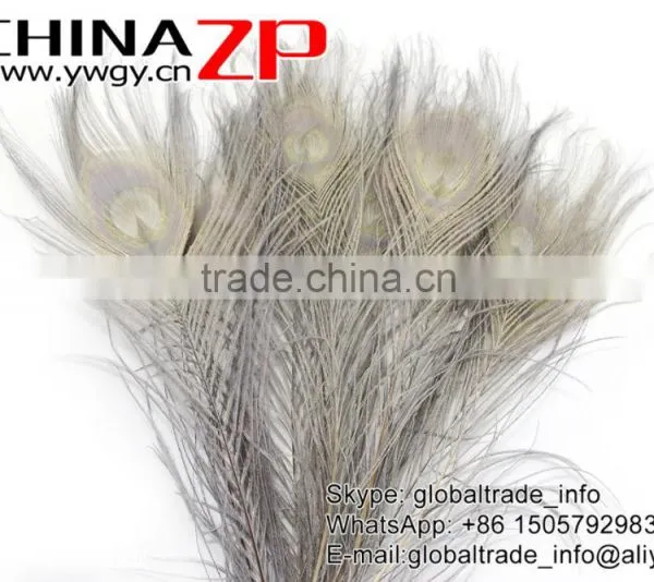 CHINAZP Leading Supplier Wholesale Cheap Full Eye Dyed Grey Long Peacock Tail Feathers photo-2