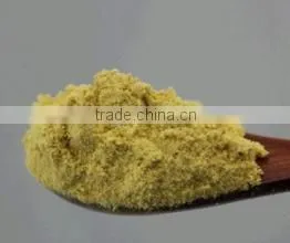 Ginger Extract Powder With Top Quality and Good Price