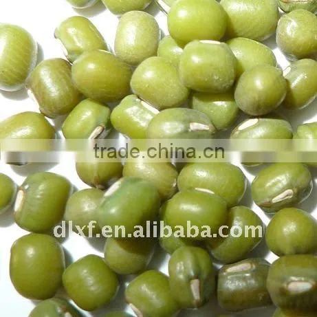2011 Crop Good Quality Green Mung Beans
