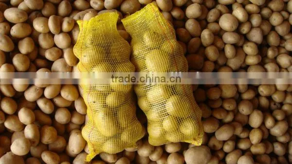 2016 - 2017 New Crop Potato / Holland Type