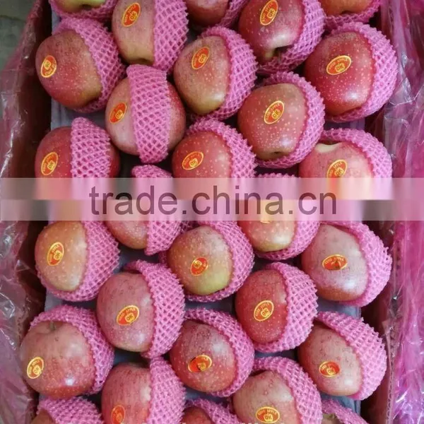 Shanxi Qinguan Apple photo-3