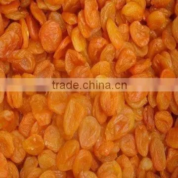 China Sweet Dried Apricots photo-3