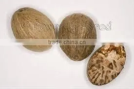 Myristica Fragrans Seeds and Mace