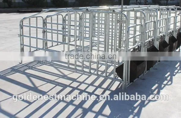 Goldenest Piggery Gestation Crate for Pigs Galvanized Single Stall for Sows photo-3
