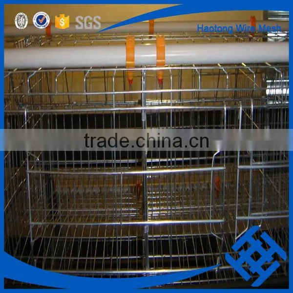 Welded Rabbit Cage Wire Mesh photo-5