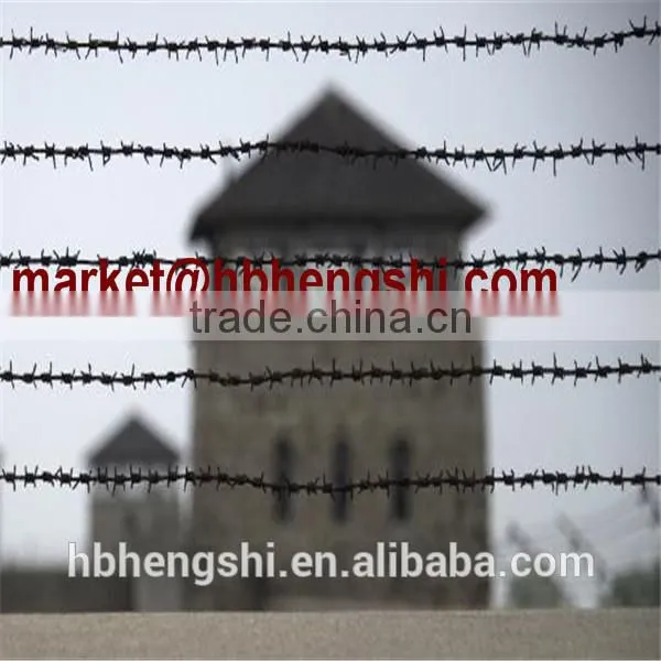 Chain Link Fence Paige Wire Fence Barbed Wire photo-6