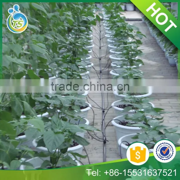 Garden Using Water Saving Drip Irrigation System