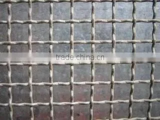 Polymer Filter Mesh, Crimped Wire Mesh, Stainless Steel Wire Mesh photo-3