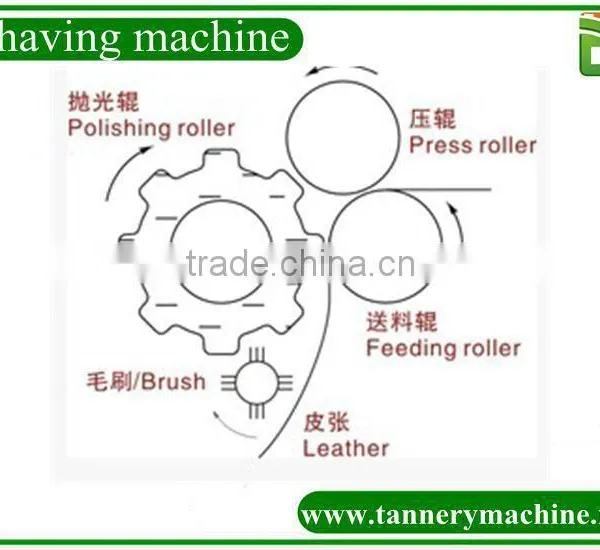 Polishing Machine for Tanning Machine photo-5