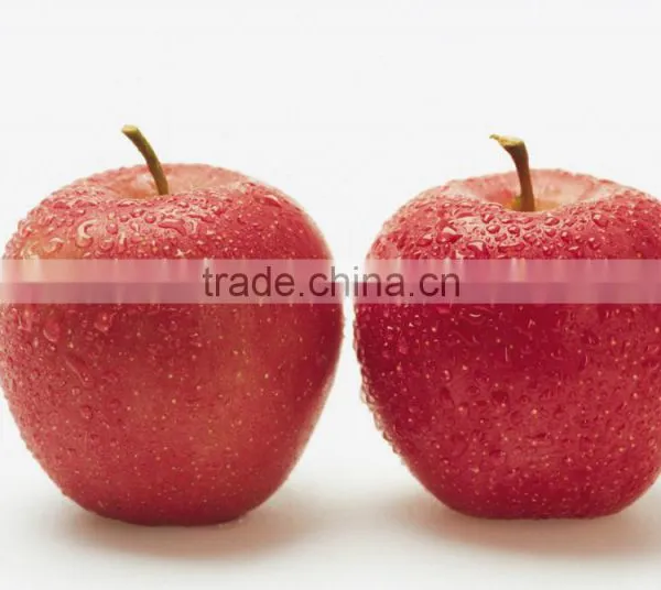 Apple Slicing Machine/fruit Slicing Machine/vegetables Slicing Machine photo-3