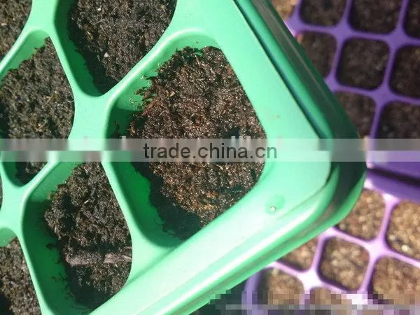 Cheap Best Sell Rice Plant Seedling Tray for Sale photo-3