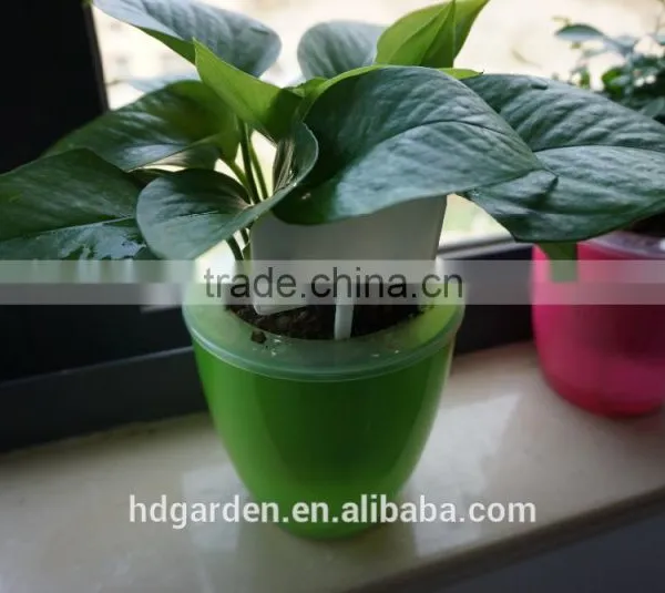 Hot Sale Colored Plastic Plant Marker Tag Wholesale photo-5
