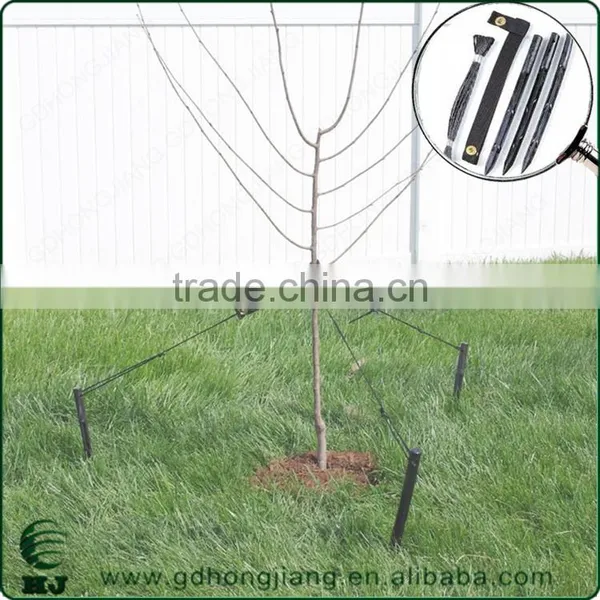 Tree Straight Garden Kit