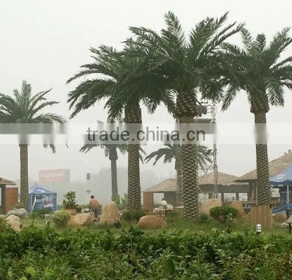 Fake Tree Wholesale Plastic Indoor/outdoor Hot Sale Factory Decoration Artificial Palm Tree photo-2