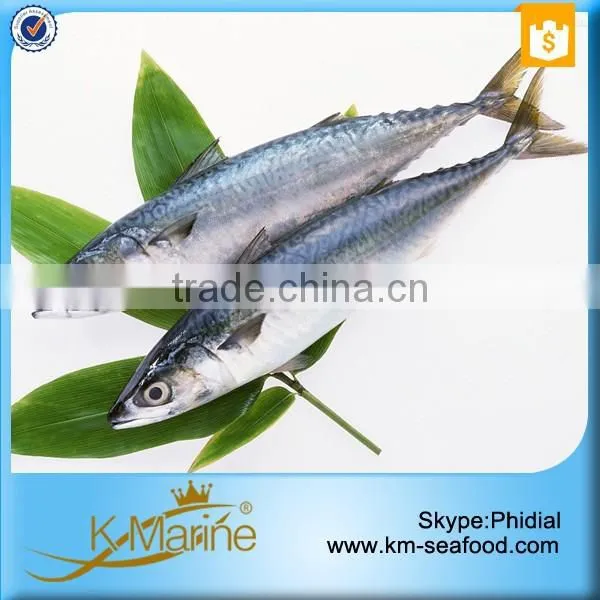 Top Quality Whole Frozen Mackerel For Sale photo-2