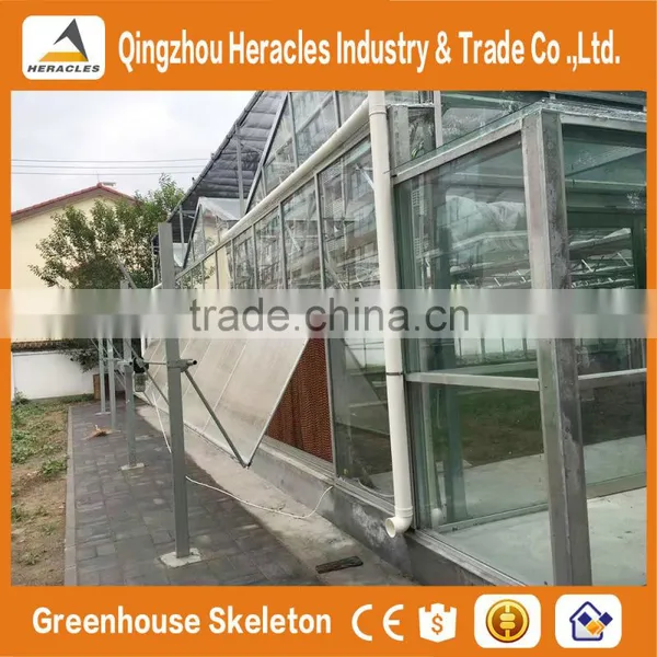 Heracles Venlo Glass Multi Span Agricultural Greenhouses photo-4