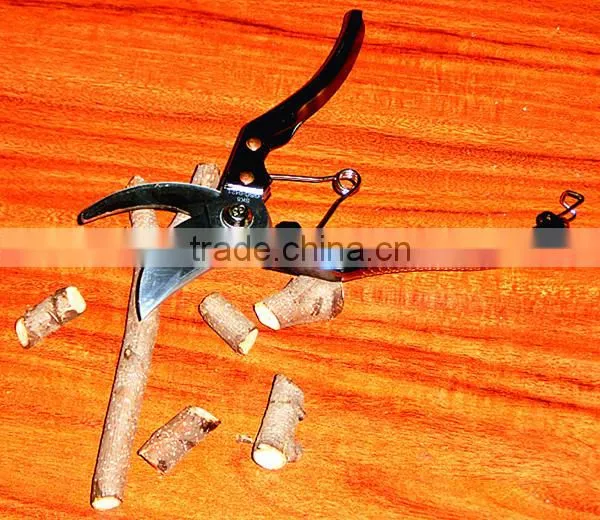 207 BY-pass Pruners photo-5