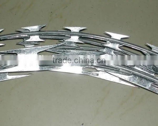 High Quality Tensile Strength Razer Galvanized Iron Barbed Wire/RAZER Barbed Wire Factory photo-3