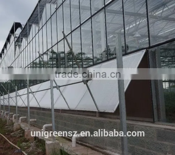 Commercial Multi Span Agricultural Film Greenhouse for Sale photo-2