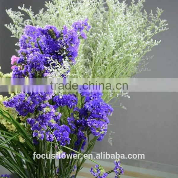 100% Fresh Cut Purple Statice Using in Car, House and Office photo-2