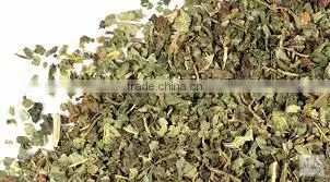 Carica Papaya Leaves photo-4