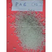 PA6 (12)