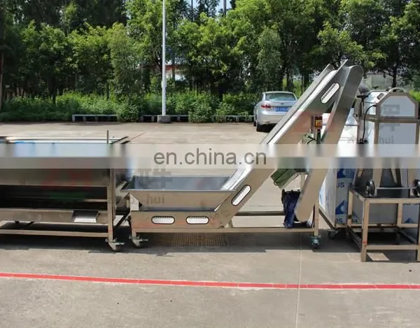 Leaf Vegetable Cutting Machine/cabbage Lettuce Ozone Washing Machine/leaf Vegetable Washing Processing Line photo-5