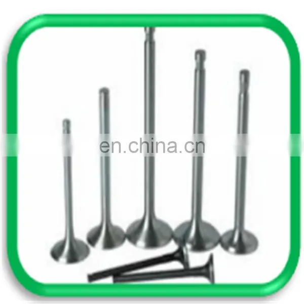 Truck Spare Parts Intake and Exhaust Engine Valve for Daf xf 105 95 106 photo-6