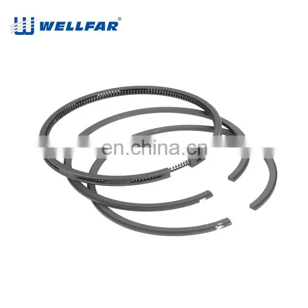 Wellfar Truck Spare Parts Fh1285mm Piston Rings For Man Volvo Fh12 Engine photo-5