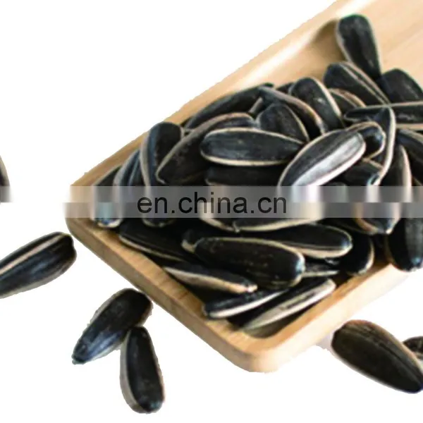 Argentina Sunflower High Oil Seeds photo-2