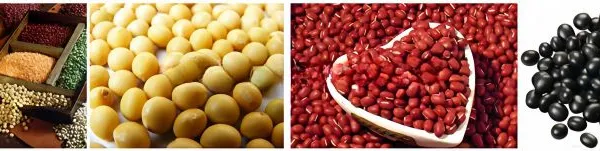 Commercial Soybean Milk Processing Machine Soybean Soak System to Prevent Lactose Intolerance photo-4