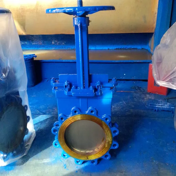 Chemical Industry 150LB,300LB,600LB,900LB ANSI Stainless Steel Knife Gate Valve photo-5