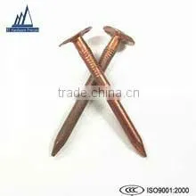 Hard copper clout nails copper nail
