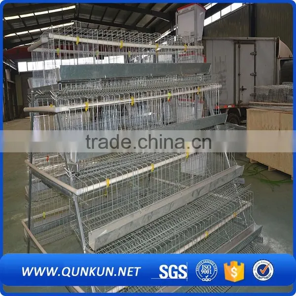 Poultry Chickens Farms Building for Sale photo-4
