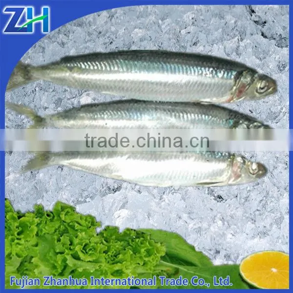 Sardine Tin Can Crude Sardine Fish Oil