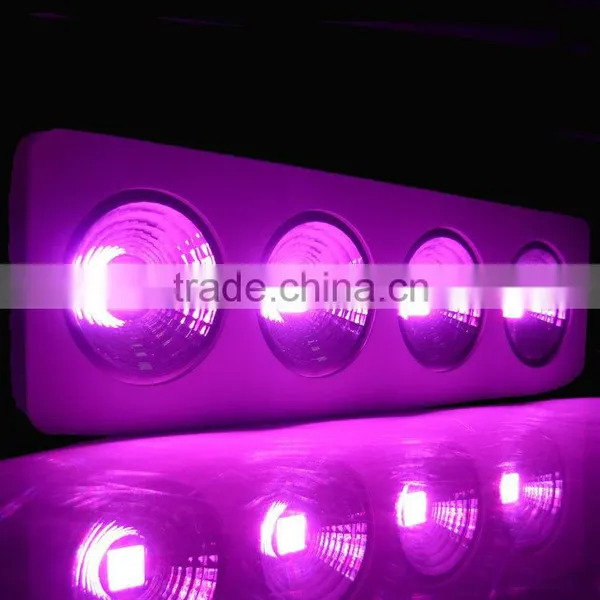 200-1200W Led Grow Light Full Spectrum for Plant, Cob Full Spectrum Led Grow Light Indoor Green House Use photo-5