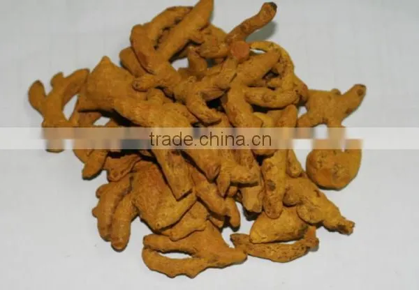 FRESH TURMETIC WITH BEST PRICE AND GOOD QUALITY photo-6