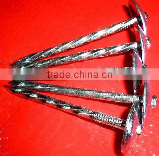 2.5" South African Market Twisted Nails photo-5