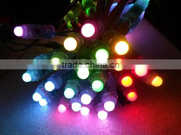 Warm White 5MM LED Christmas Lights String