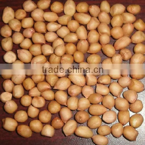 Peanut Kernel