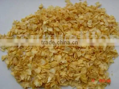 Dehydrated Onion