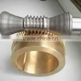 More Than 20 of the Transmission Parts Are Often the Highest Quality of Worm Gear and Worm Industry photo-4
