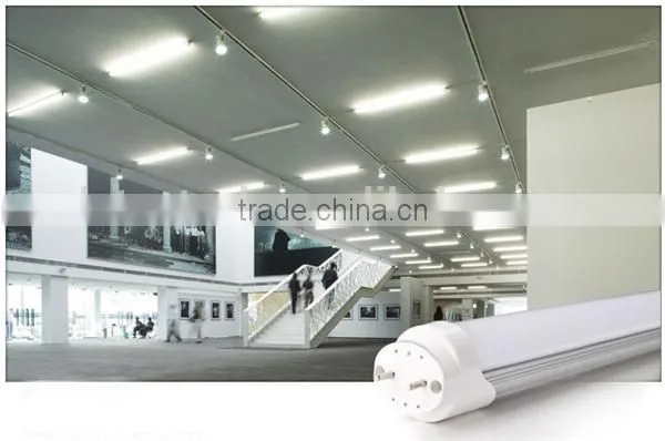 Lowest Price Good Lumen 2Feet 0.6M Professional Industry Souring Integrated Smd2835 T8 LED Tube Lighting T8 photo-3