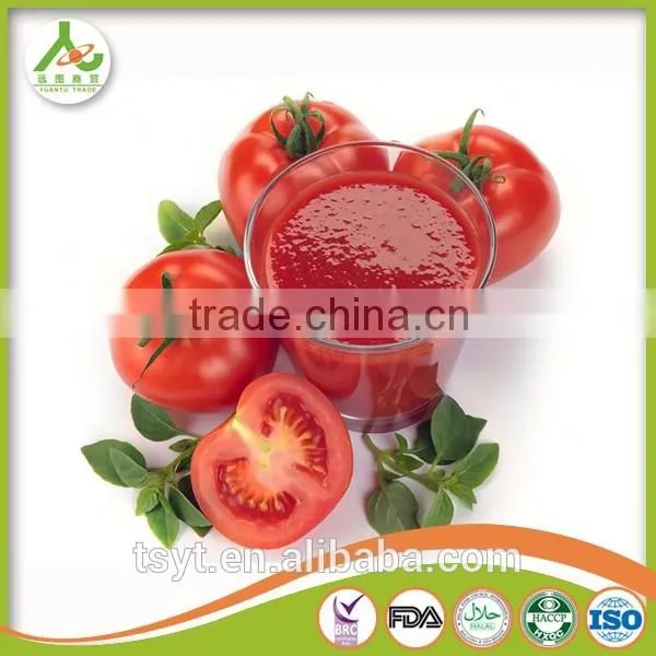 Bulk Wholesle Aseptic Tomato Paste 28-30% 36-38% Drum Canned Tomato Paste photo-3